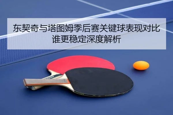 东契奇与塔图姆季后赛关键球表现对比谁更稳定深度解析